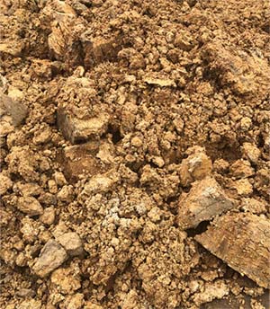 Bagger beim Erdaushub