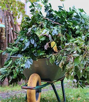 Schubkarre mit Grünschnitt